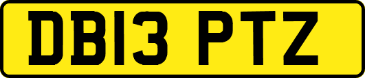 DB13PTZ