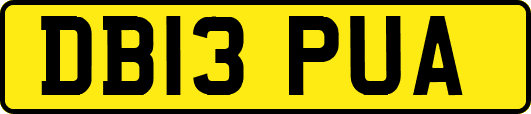 DB13PUA