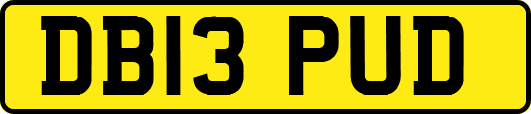 DB13PUD