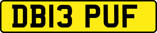 DB13PUF