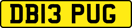 DB13PUG