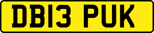DB13PUK