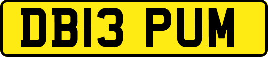 DB13PUM