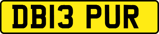 DB13PUR