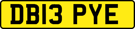 DB13PYE