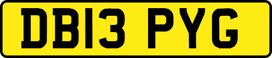 DB13PYG