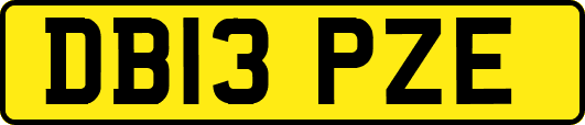 DB13PZE