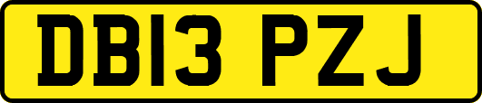 DB13PZJ