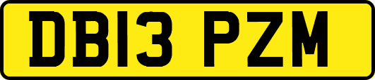 DB13PZM
