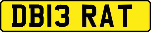 DB13RAT