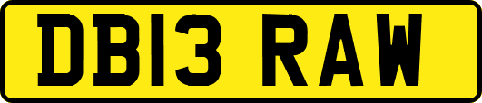 DB13RAW