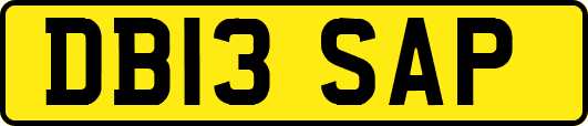 DB13SAP