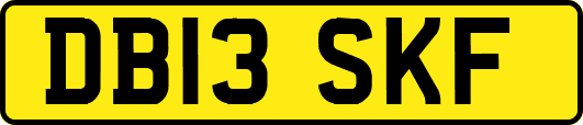 DB13SKF
