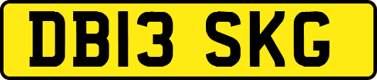 DB13SKG