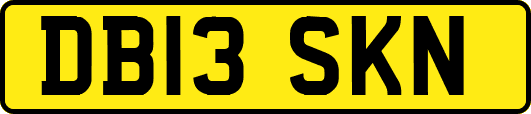 DB13SKN