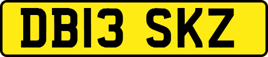 DB13SKZ