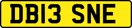 DB13SNE