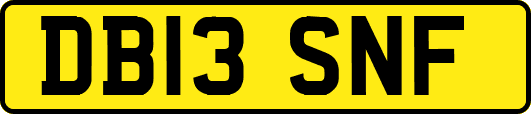 DB13SNF