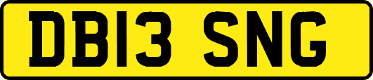 DB13SNG