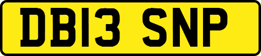 DB13SNP
