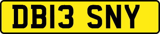DB13SNY