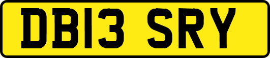DB13SRY