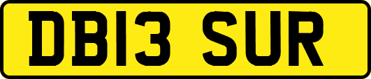 DB13SUR