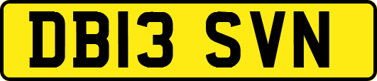 DB13SVN