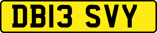 DB13SVY