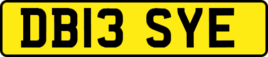 DB13SYE