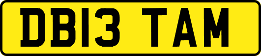 DB13TAM