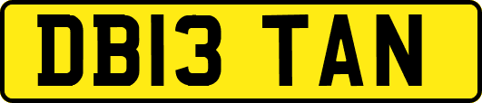 DB13TAN