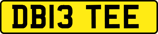DB13TEE