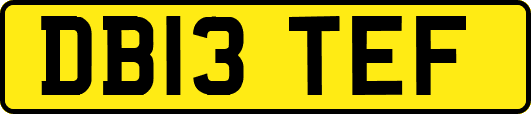 DB13TEF