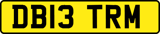 DB13TRM