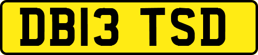 DB13TSD