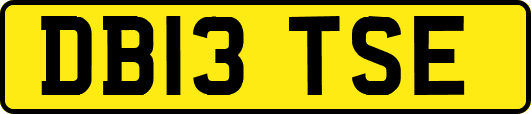 DB13TSE