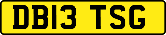 DB13TSG