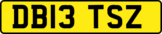 DB13TSZ