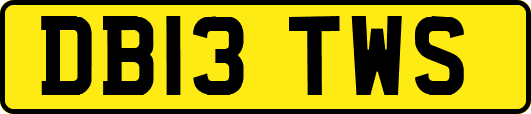 DB13TWS