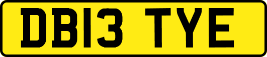 DB13TYE