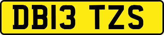 DB13TZS