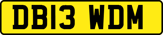 DB13WDM