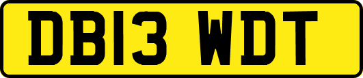 DB13WDT