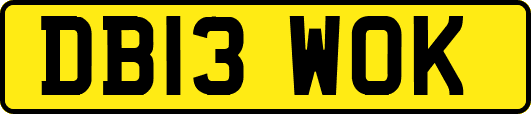 DB13WOK