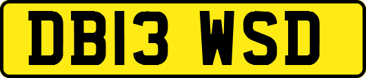DB13WSD