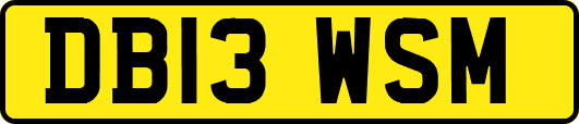 DB13WSM