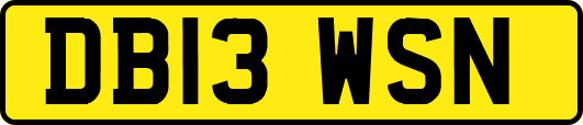 DB13WSN