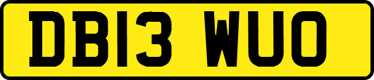 DB13WUO