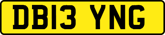 DB13YNG